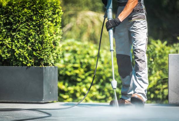 Best Soft Washing for Delicate Surfaces in Clarence Center, NY